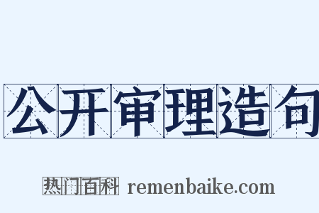 公开审理造句是什么意思的图片